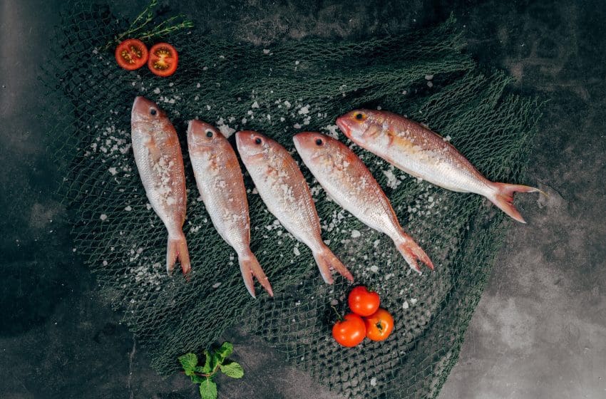 Is Fish Considered Meat Seafood Peddler is-fish-considered-meat-seafood-peddler