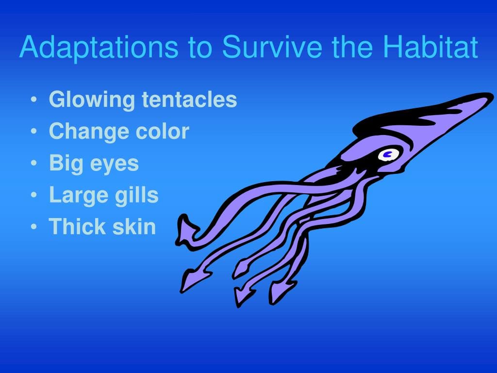 Giant Squids: Get to Know These Enigmatic Marine Animals and Their